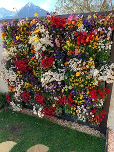 colorful flowers growing on the side of a building