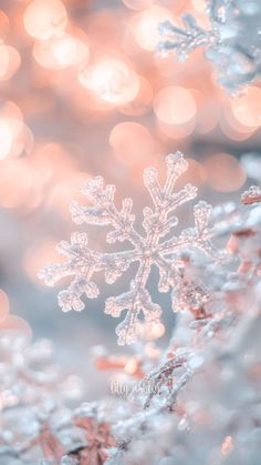 a snowflake is shown in the foreground with blurry lights behind it