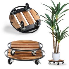 two wooden trays and a potted plant on wheels