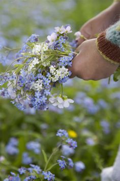 a person is holding flowers in their hands