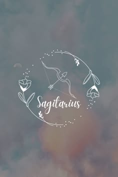 the words sagitaris are written in white on a blue and pink background