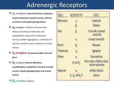 an adrengic receptiors chart with the corresponding numbers and abbreviations