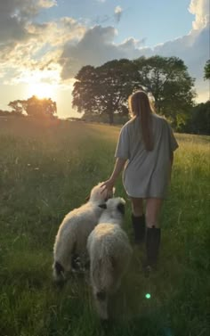 a woman is walking with two sheep in a field