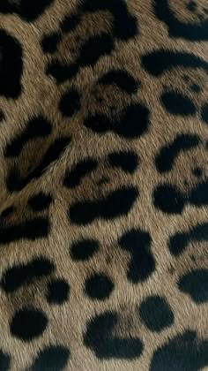 an animal print pattern is shown in black and brown