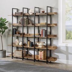 a living room with a book shelf and potted plant on the floor next to it