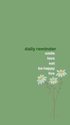 daisies with the words, daily reminder smile love rest be happy live