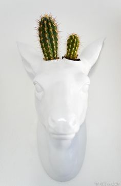 a white deer head with two cactus heads on it's back, against a white wall