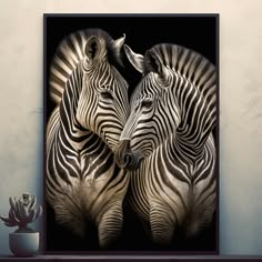 two zebras standing next to each other in front of a black and white background