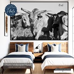 two beds in a room with cow pictures on the wall above them and an extra sized bed frame