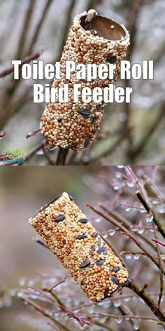 two pictures of bird feeders hanging from branches with the words toilet paper roll bird feeder