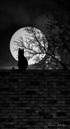 a black cat sitting on top of a brick wall in front of a full moon