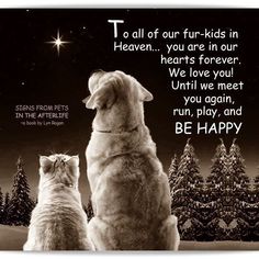 two dogs and a cat sitting in front of a night sky with the words be happy written on it