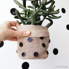 a person holding a plant in a burlocked pot with black polka dots