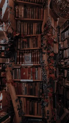 the bookshelves are filled with many different types of books and have vines growing on them