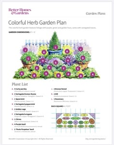 a garden plan with flowers and plants in pots on the top right corner, labeled colorful herb garden plan