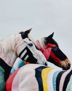 Sila Sehrazat Yucel ON A DAY LIKE TODAY – ArtStar Horse Photoshoot Ideas, Surreal Beauty, Imagination Station, Cappadocia Turkey, Hodge Podge, Color Codes, Equine Art, Equine Photography, The Fairy