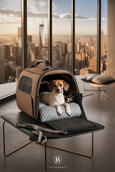 a dog is sitting in a pet carrier on top of a table with a view of the city