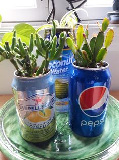 two soda cans with plants in them sitting on a green tray next to a window