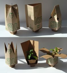 three different views of an open cardboard box with plants in it