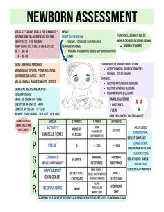 a poster with instructions on how to use the newborn's name and its meanings