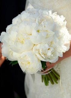 a bride holding a bouquet of white flowers