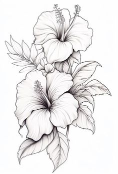 a drawing of two flowers with leaves on the bottom and one flower in the middle