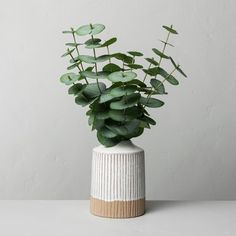 a white vase filled with green leaves on top of a table