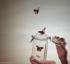 a person holding a jar with butterflies flying out of it