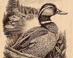 Duck Hunting Tattoos, Hunting Drawings, Waterfowl Art, Pirate Tattoo, Hunting Design, Duck Bird, Bird Hunting, Wood Burning Patterns