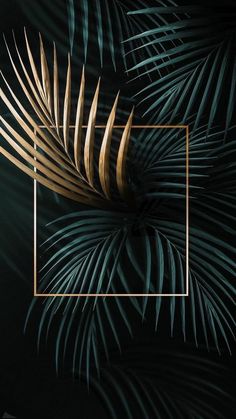 a palm leaf with a gold square frame in the middle on a black background that is surrounded by green leaves