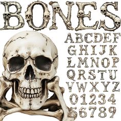 an image of a skull with bones on it's head and lower letters in the background