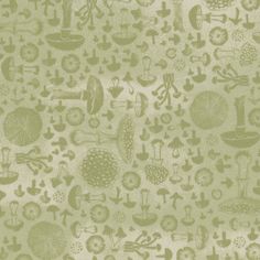 a green and white wallpaper with many different things on it