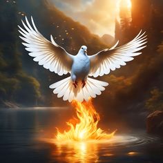 a white bird flying over a body of water on top of a fire covered ground