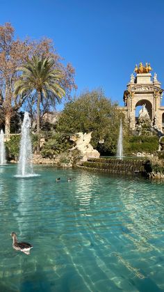 there is a duck swimming in the water at the park with fountains and palm trees