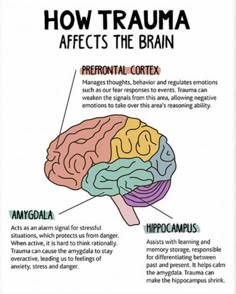 Cognitive Approach Psychology, Psychology Diagrams, Learning Psychology, Psychology Notes, Psychology Studies, Mental Health Activities, Clinical Social Work