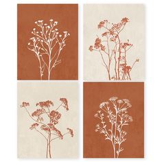 four different types of flowers on brown and white paper, each with an orange background