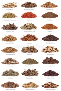 various types of spices and herbs on a white background royalty illustration stock images, clippings