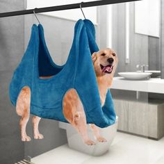 a dog hanging from a towel in a bathroom