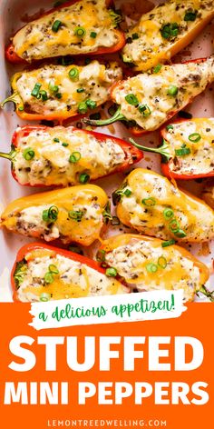 stuffed mini peppers with cheese and green onions in a white baking dish on an orange background