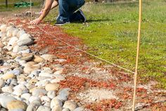 a man kneeling down next to a pile of rocks near a fence and green grass