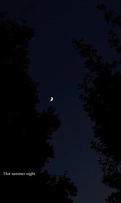 the moon is seen through some trees in the night sky with words written below it