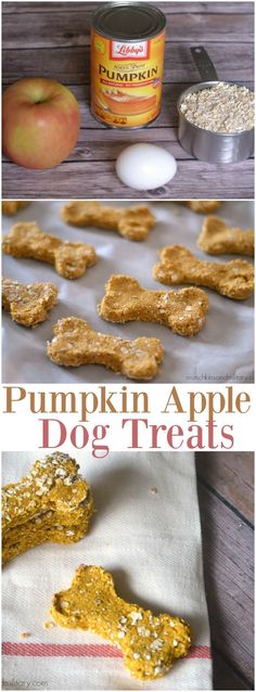 pumpkin apple dog treats on a table with an apple and oatmeal in the background