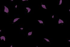 purple leaves floating in the air on a black background