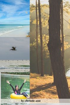 three different pictures with trees and water in the foreground, one has a woman floating on an inner tube