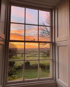 an open window looking out onto a green field at sunset with birds sitting on the windowsill