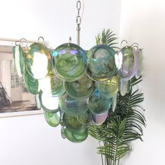 a chandelier hanging from the ceiling in a room with a plant and pictures on the wall