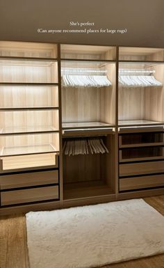 an empty closet is shown with shelves, drawers and rugs on the wooden floor