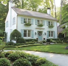 a large white house with blue shutters and green plants on the front lawn, surrounded by greenery