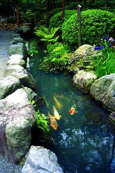 an outdoor pond with rocks and plants surrounding it