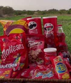 a picnic basket filled with snacks and drinks